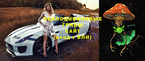 тгк Алексеевка