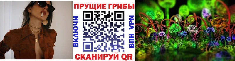 Галлюциногенные грибы Psilocybine cubensis  Уфа 